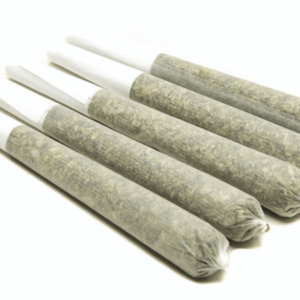 Dank Dispatch Pre-Rolls